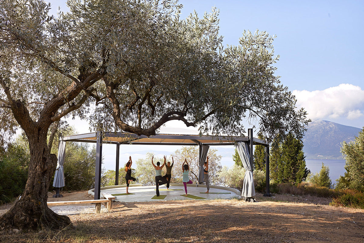 Five people practising tree pose yoga on mats under a modern pergola overlooking sea and mountains in natural outdoor setting