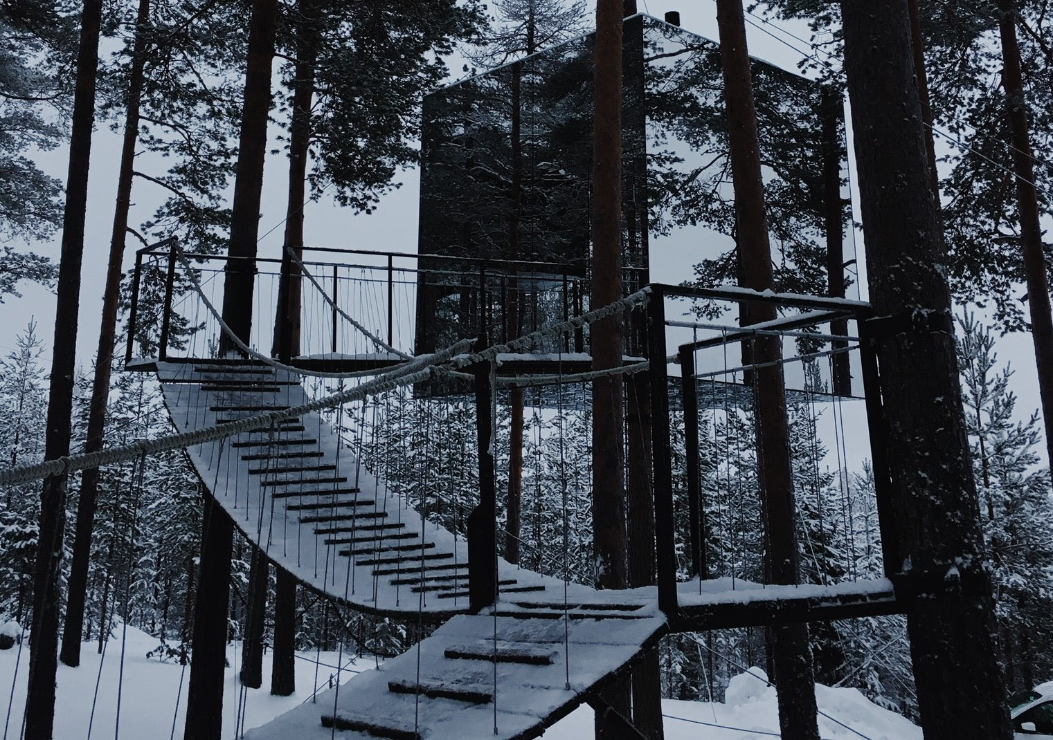 ASCENO TRAVELS | FANTASY FORESTS